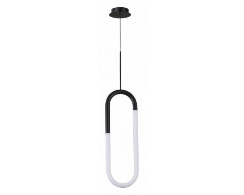 Подвесной светильник Arte Lamp Lumino A2233SP-20BK