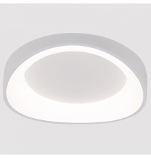 Накладной светильник Arte Lamp None A2698PL-48WH