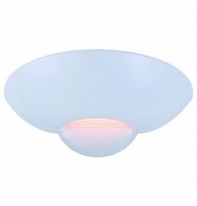 Накладной светильник Arte Lamp Interior A7118AP-1WH