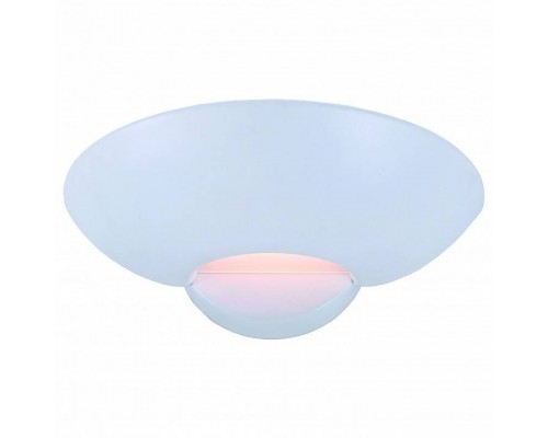 Накладной светильник Arte Lamp Interior A7118AP-1WH