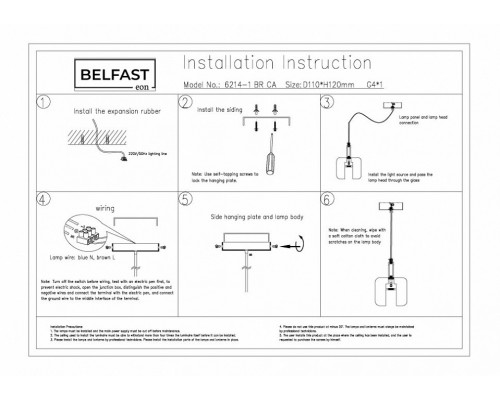 Подвесной светильник Belfast Pansy 6214-1 BR CA