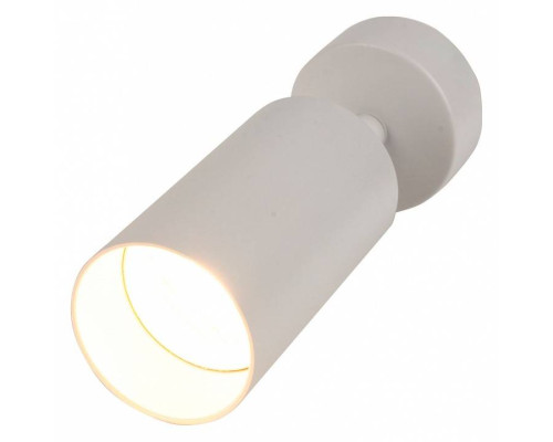 Спот Brizzi Aras BR08075