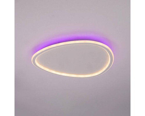 Накладной светильник Citilux ТRIO CL215B250E