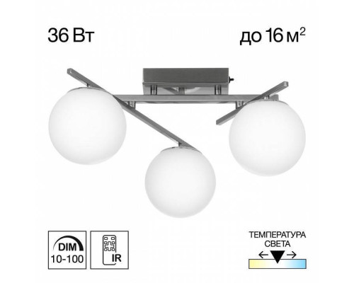 Потолочная люстра Citilux Dorsy CL223131