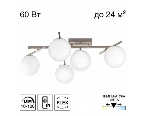 Потолочная люстра Citilux Dorsy CL223151