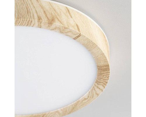 Накладной светильник Citilux Бейсик CL738122N