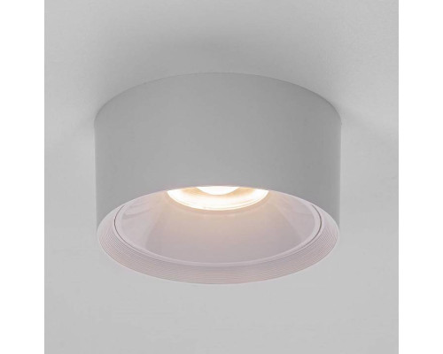 Накладной светильник Citilux Rover CL743090N