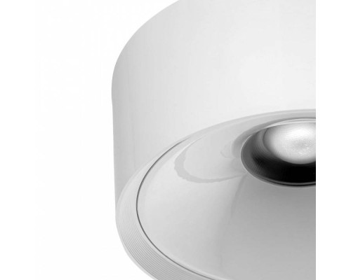 Накладной светильник Citilux Rover CL743090N