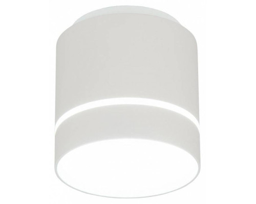 Накладной светильник Citilux Борн CL745020N