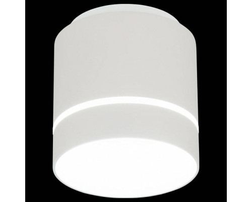 Накладной светильник Citilux Борн CL745020N