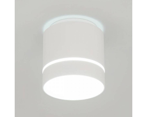 Накладной светильник Citilux Борн CL745020N