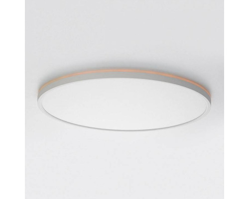 Накладной светильник Citilux NORMA CL749500