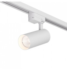 Светильник на штанге Denkirs  DK6451-WH