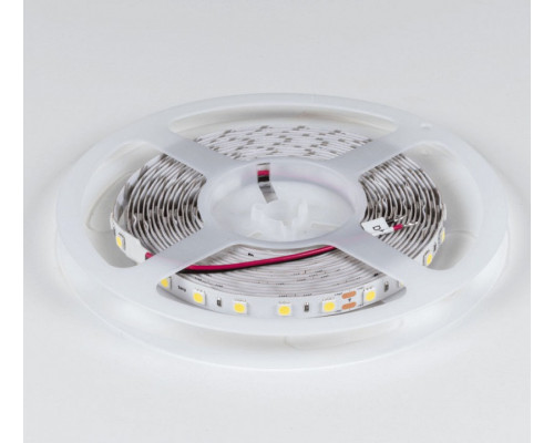 Лента светодиодная DesignLed DSG560 00-00000520