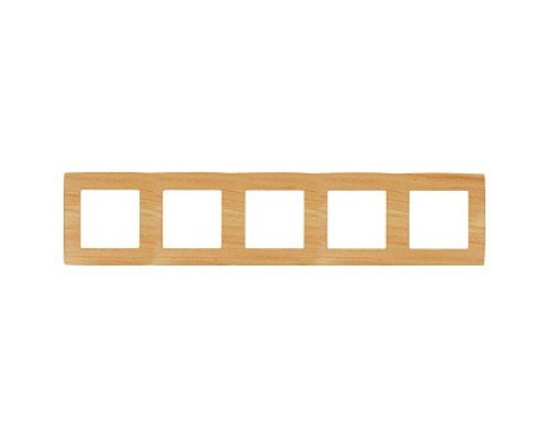 Рамка на 5 постов Эра Эра 12 12-5005-11
