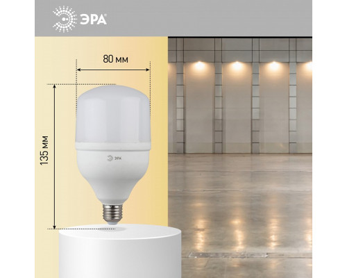 Лампа светодиодная Эра Стандарт LED POWER T100-30W-2700-E27