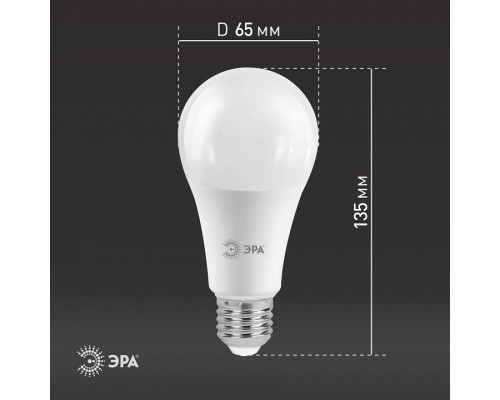 Лампа светодиодная Эра Стандарт LED A65-25W-840-E27