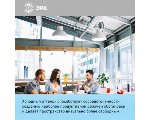 Лампа светодиодная Эра Стандарт LED A65-25W-860-E27