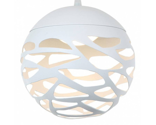 Подвесной светильник Favourite Enigma 1603-1P