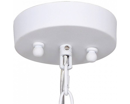 Подвесной светильник Favourite Chick 1931-2P