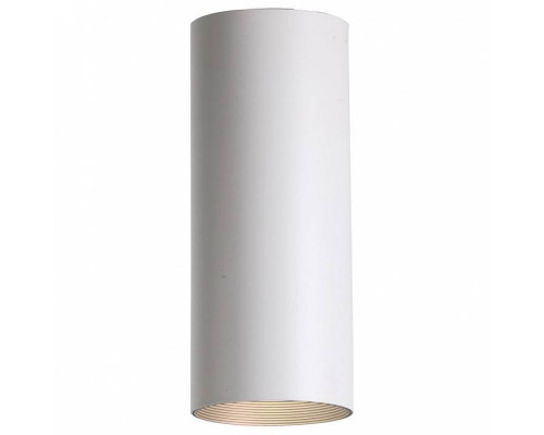 Накладной светильник Favourite Drum 2247-1U