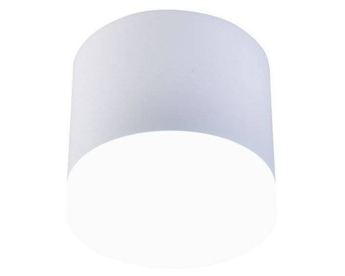 Накладной светильник Favourite Soiree 4215-1C