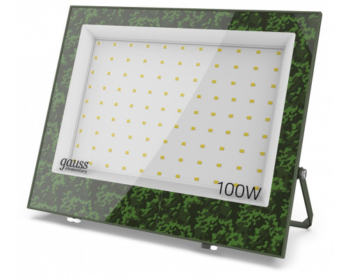 Настенно-потолочный прожектор Gauss  GFD006