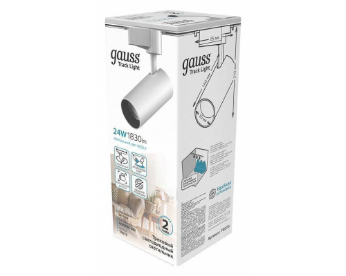 Светильник на штанге Gauss TR TR070