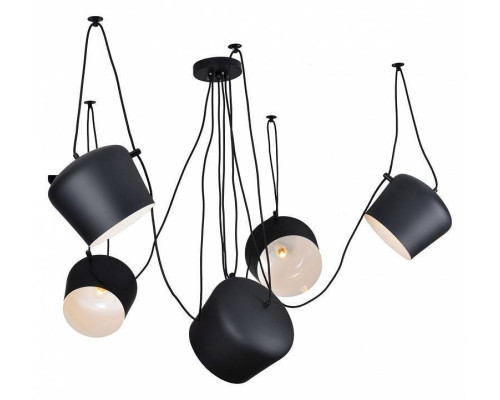 Подвесная люстра Lussole Shirley GRLSP-9919