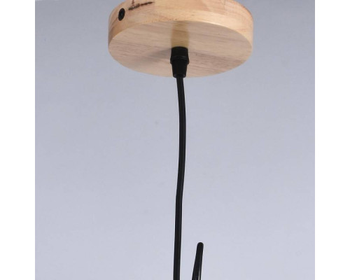 Подвесной светильник ILLUMICO  IL1011-1P-05 BK