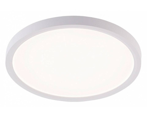 Накладной светильник Natali Kovaltseva PLAIN LED LAMPS 81113/2C