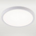 Накладной светильник Natali Kovaltseva PLAIN LED LAMPS 81113/2C