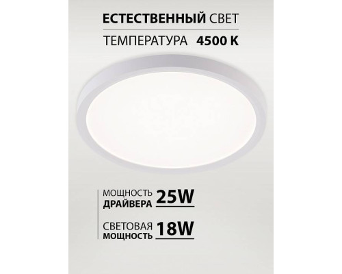 Накладной светильник Natali Kovaltseva PLAIN LED LAMPS 81113/2C