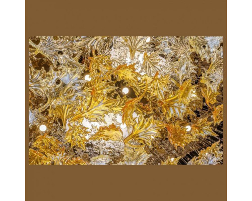 Накладной светильник L'Arte Luce  L09700