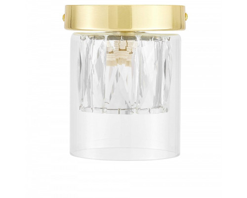 Накладной светильник Lampit DENI TC 2020-1 GD