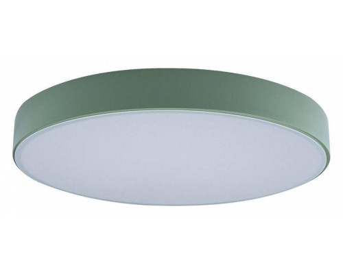 Накладной светильник Loft it Axel 1 10002/24 Green