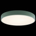 Накладной светильник Loft it Axel 1 10002/24 Green
