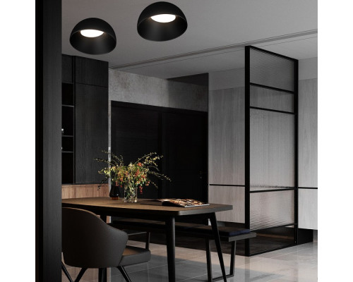 Накладной светильник Loft it Egg 10197/350 BB