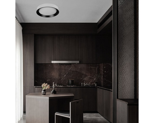 Накладной светильник Loft it Coin 10202 WB