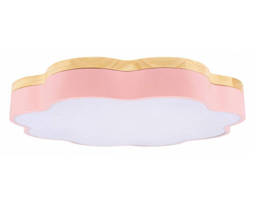 Накладной светильник Loft it Axel 10225/36 Pink