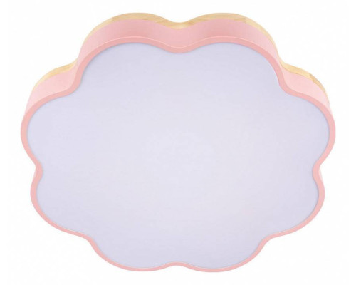 Накладной светильник Loft it Axel 10225/36 Pink