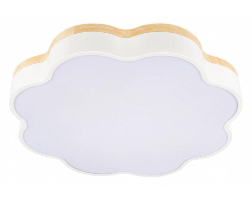 Накладной светильник Loft it Axel 10225/36 White