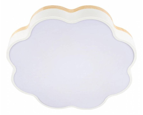 Накладной светильник Loft it Axel 10225/36 White