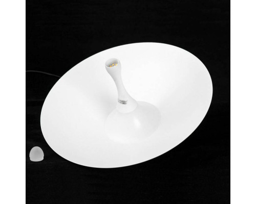 Подвесной светильник Lussole Irvine LSP-7341