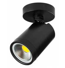 Светильник на штанге Lightstar Rullo 213407