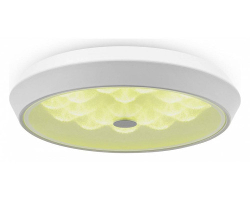 Накладной светильник Freya Cells FR10012CL-L24W