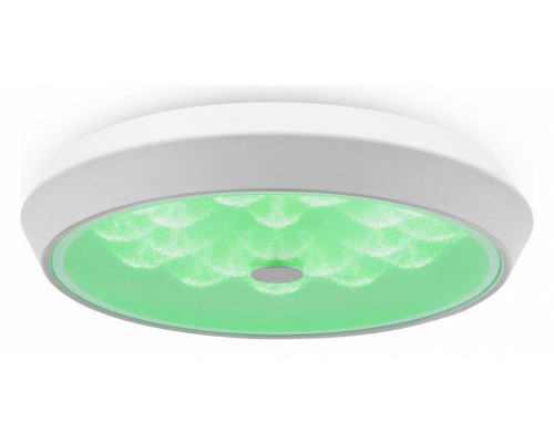 Накладной светильник Freya Cells FR10012CL-L24W