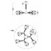 Люстра на штанге Freya Amy FR5105CL-06W