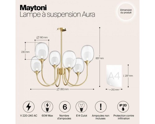 Люстра на штанге Maytoni Aura MOD016PL-06BS