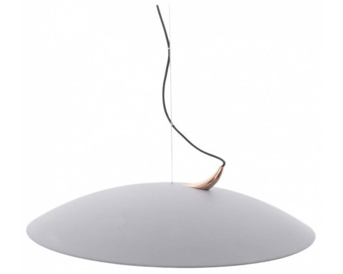 Подвесной светильник Mizi`en Candor MZ46212G